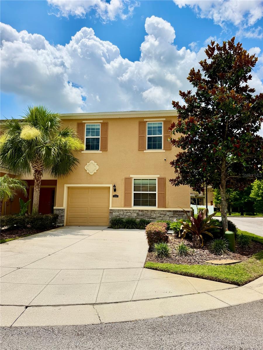 13961 River Willow Pl, Tampa