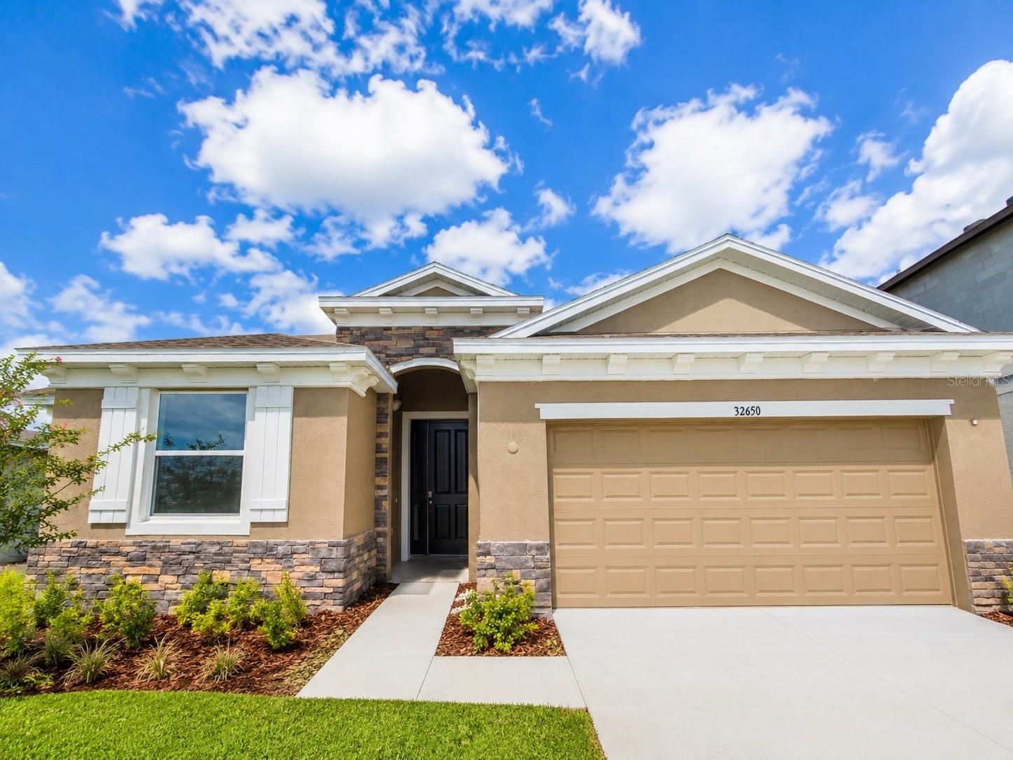 32650 Rosepine Blvd, Wesley Chapel