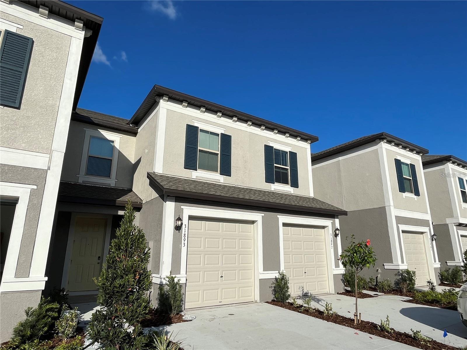 31893 Blue Passing Loop, Wesley Chapel