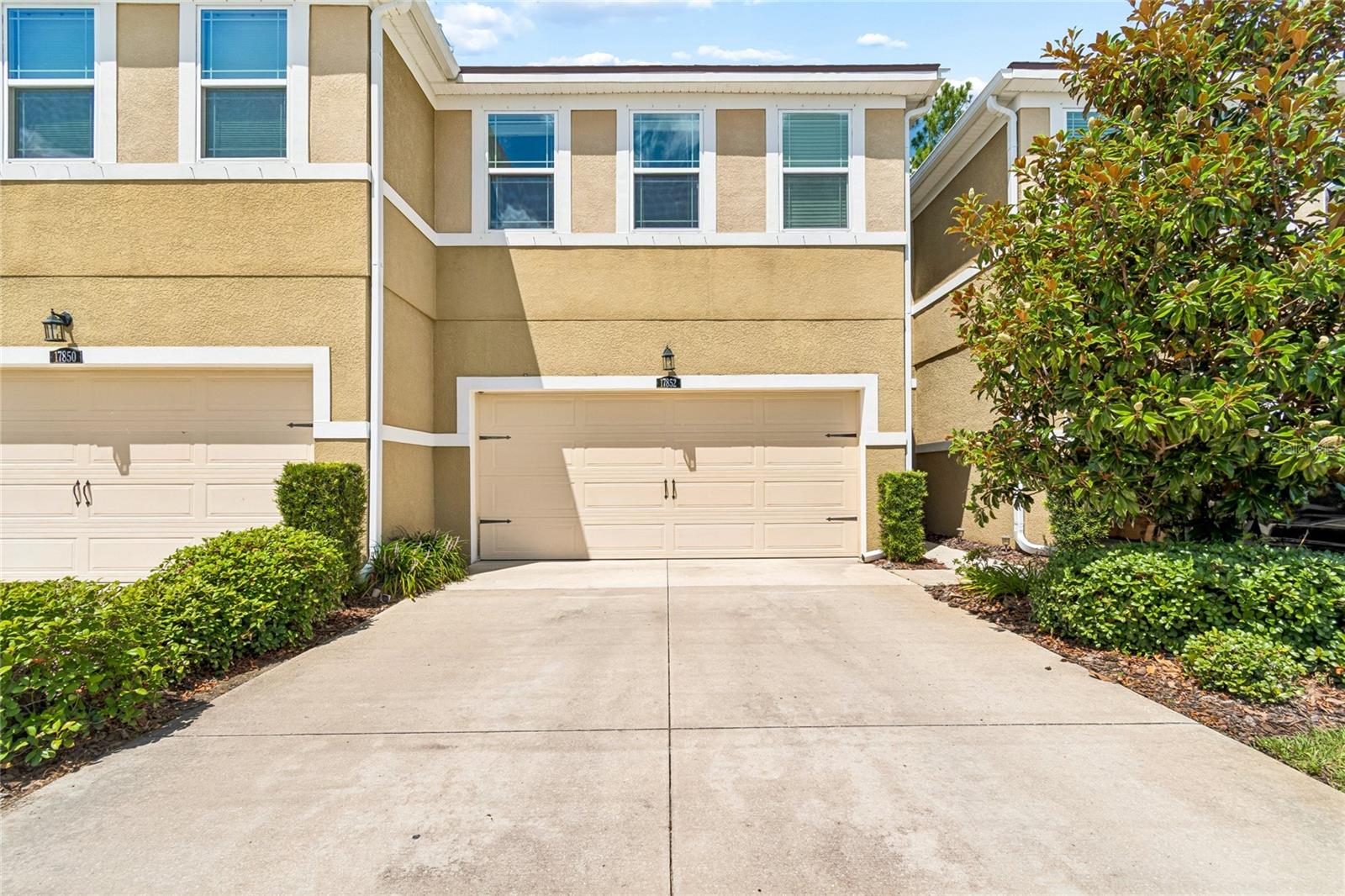 17852 Althea Blue Pl, Lutz