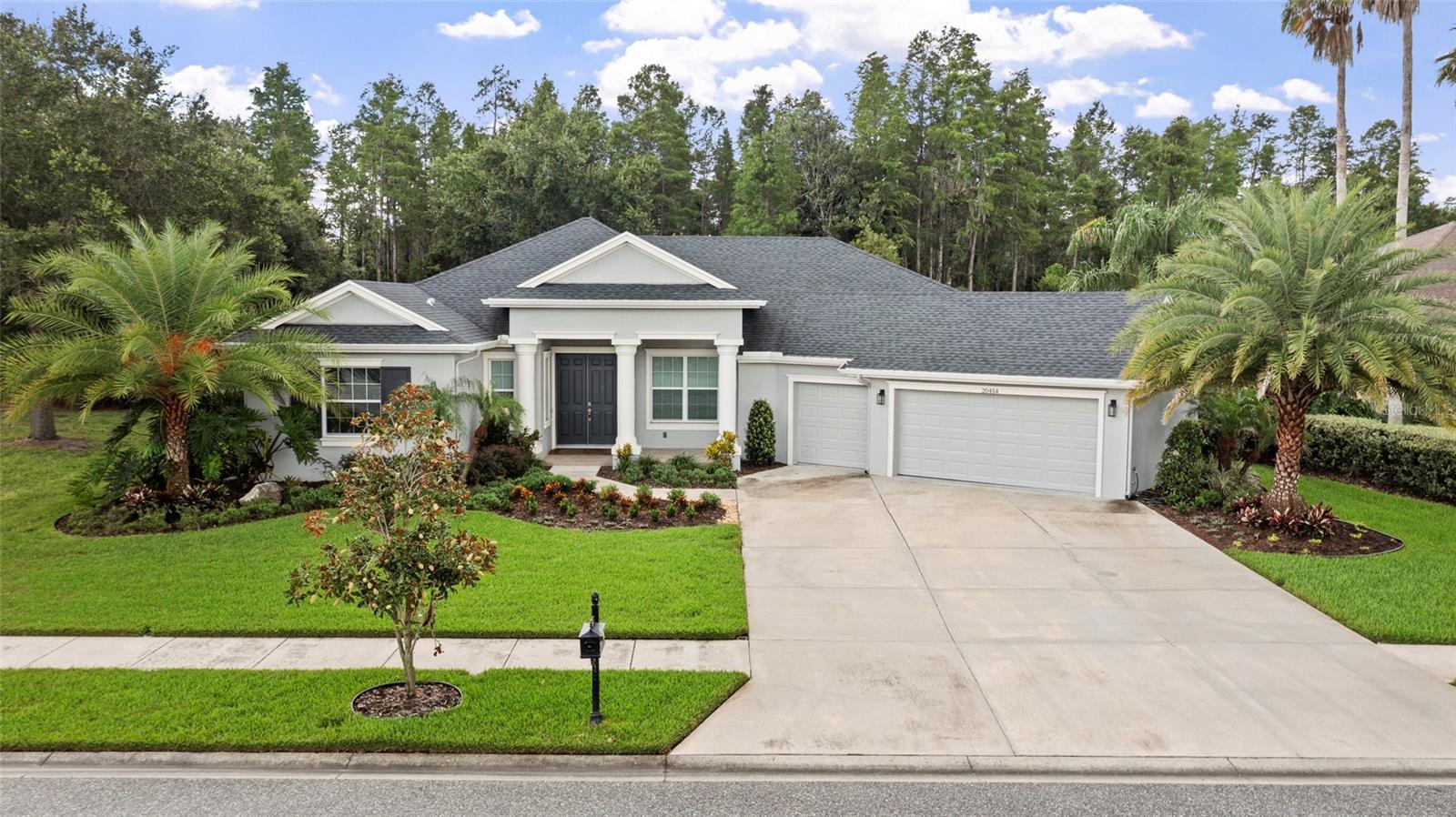 20454 Lace Cascade Rd, Land O Lakes
