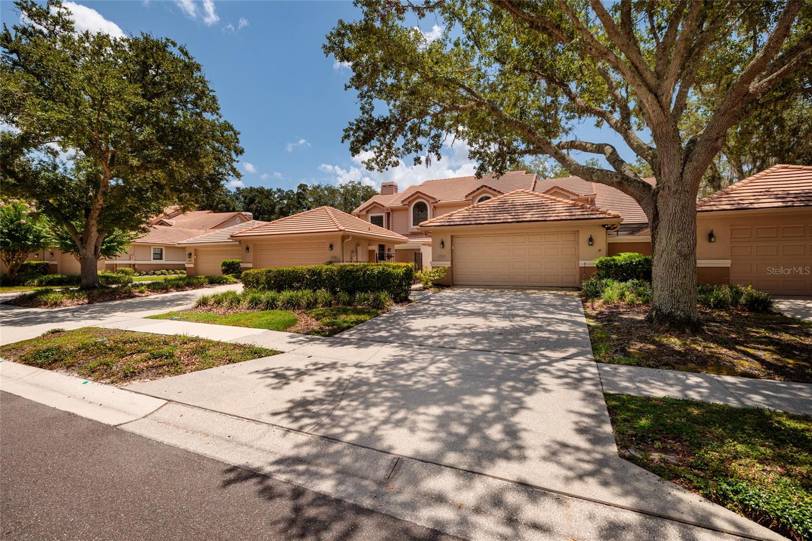 17557 Fairmeadow Dr, Tampa