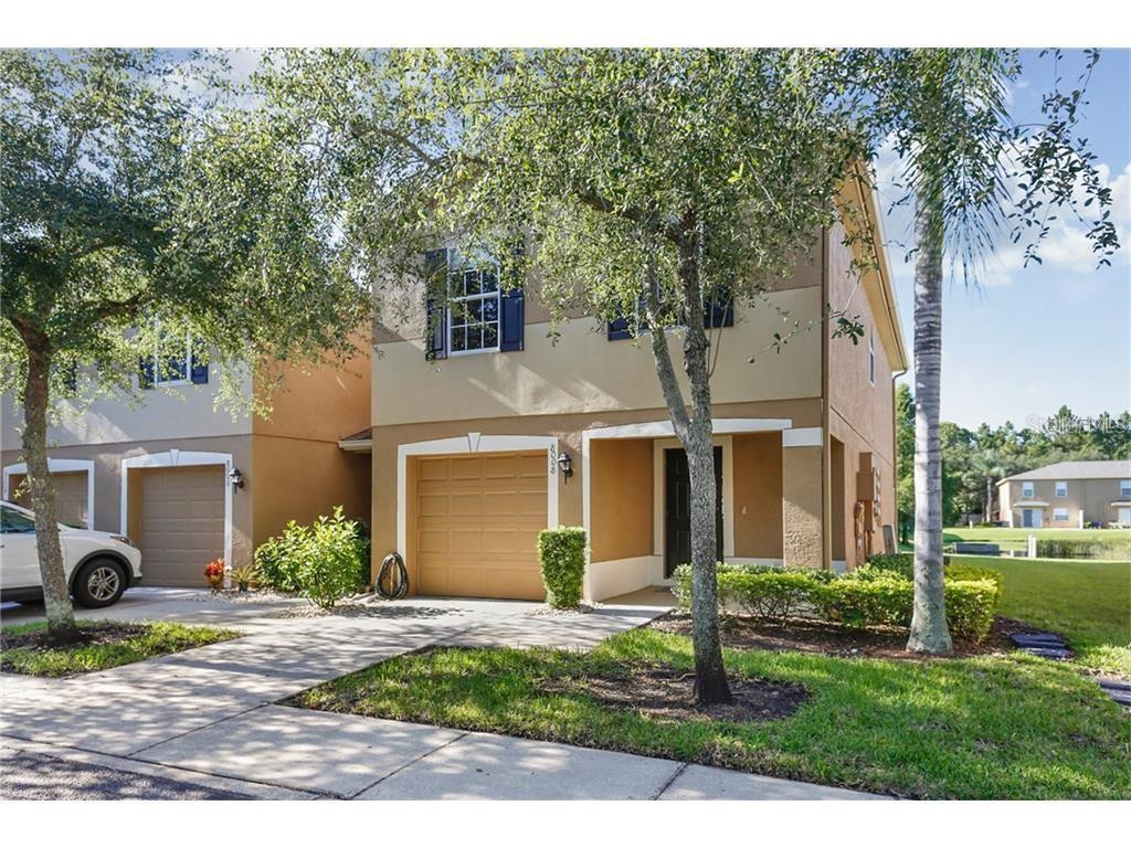 8008 Sutton Terrace Ln, Tampa