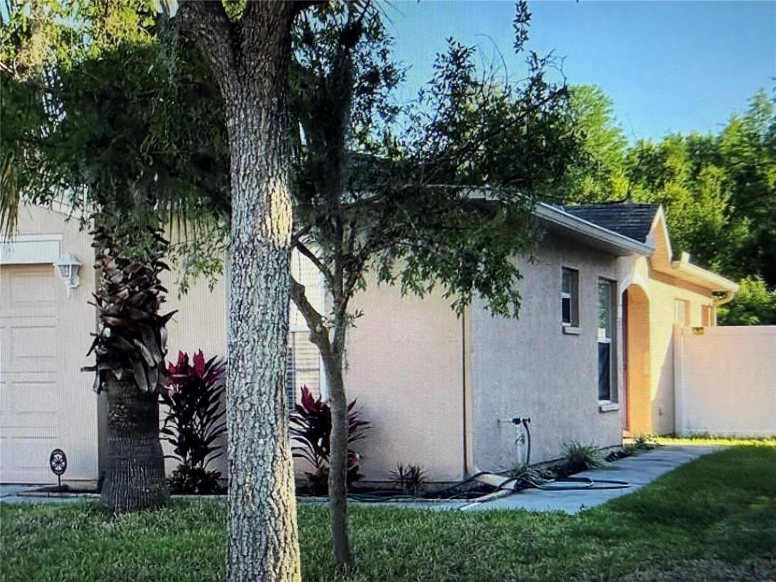 18250 Snowdonia Dr, Land O Lakes