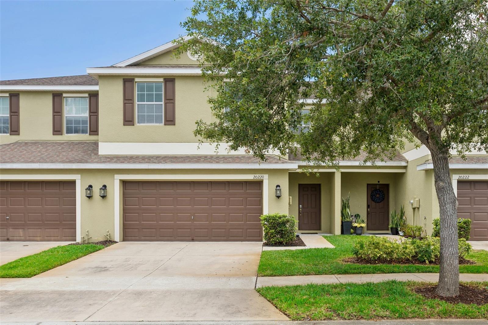20220 Pond Apple Ln, Tampa