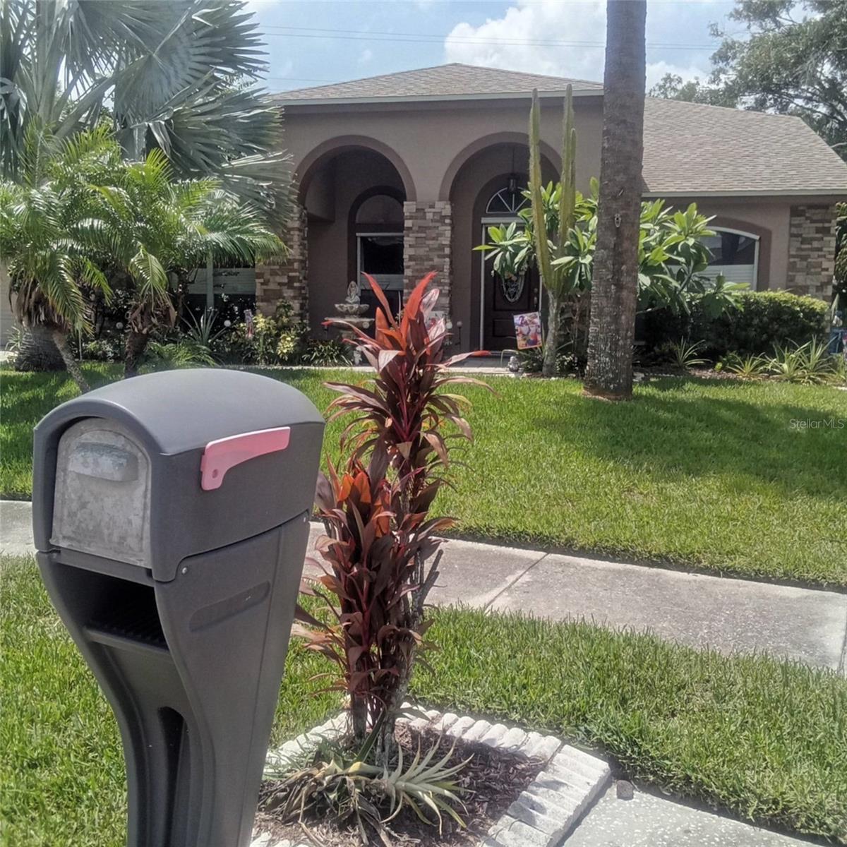 15301 Montreat Way, Tampa