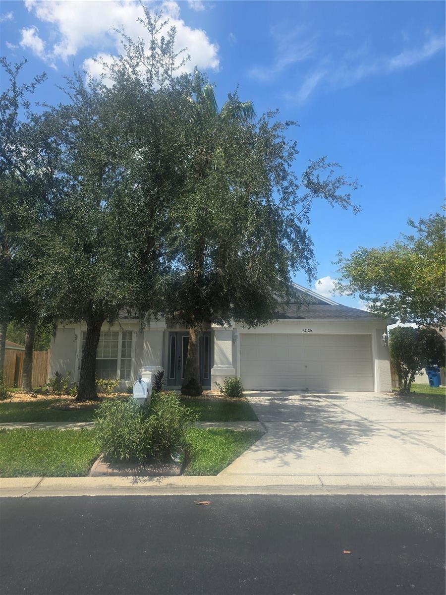 31125 Hannigan Pl, Wesley Chapel