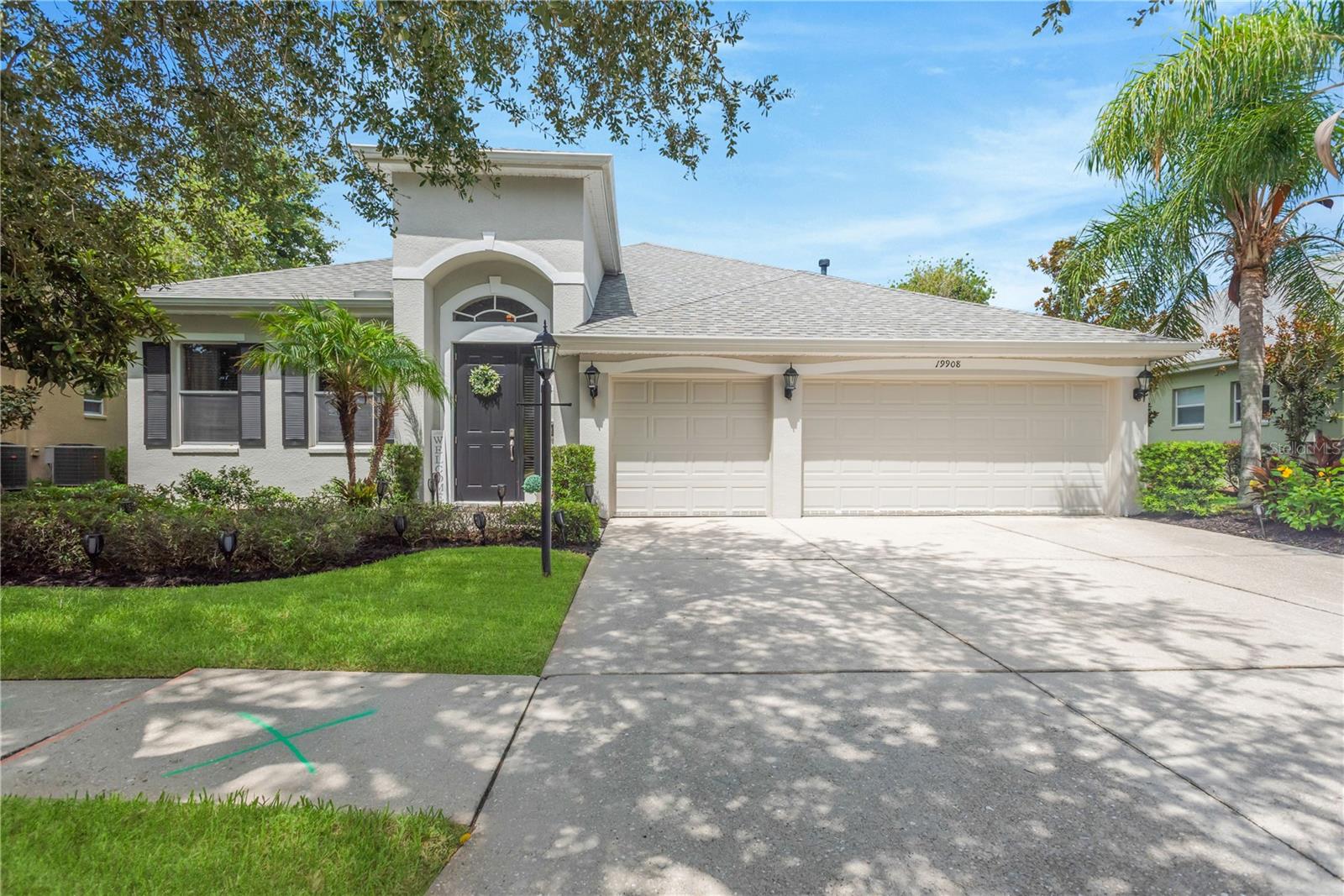 19908 Bluff Oak Blvd, Tampa