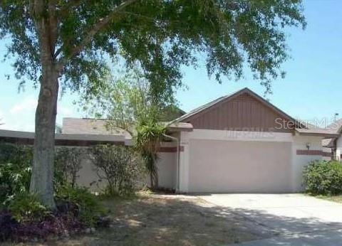 10819 Venice Cir, Tampa