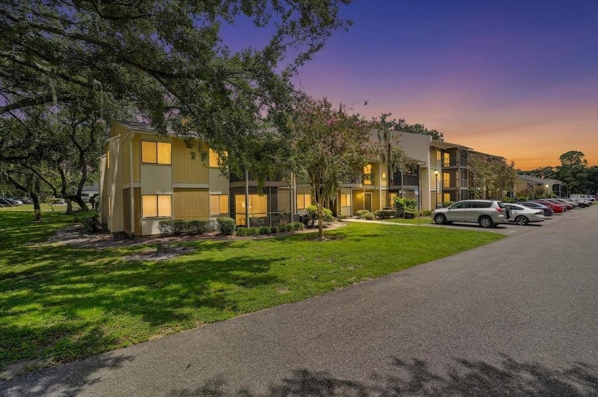 13405 Arbor Pointe Cir #104, Tampa