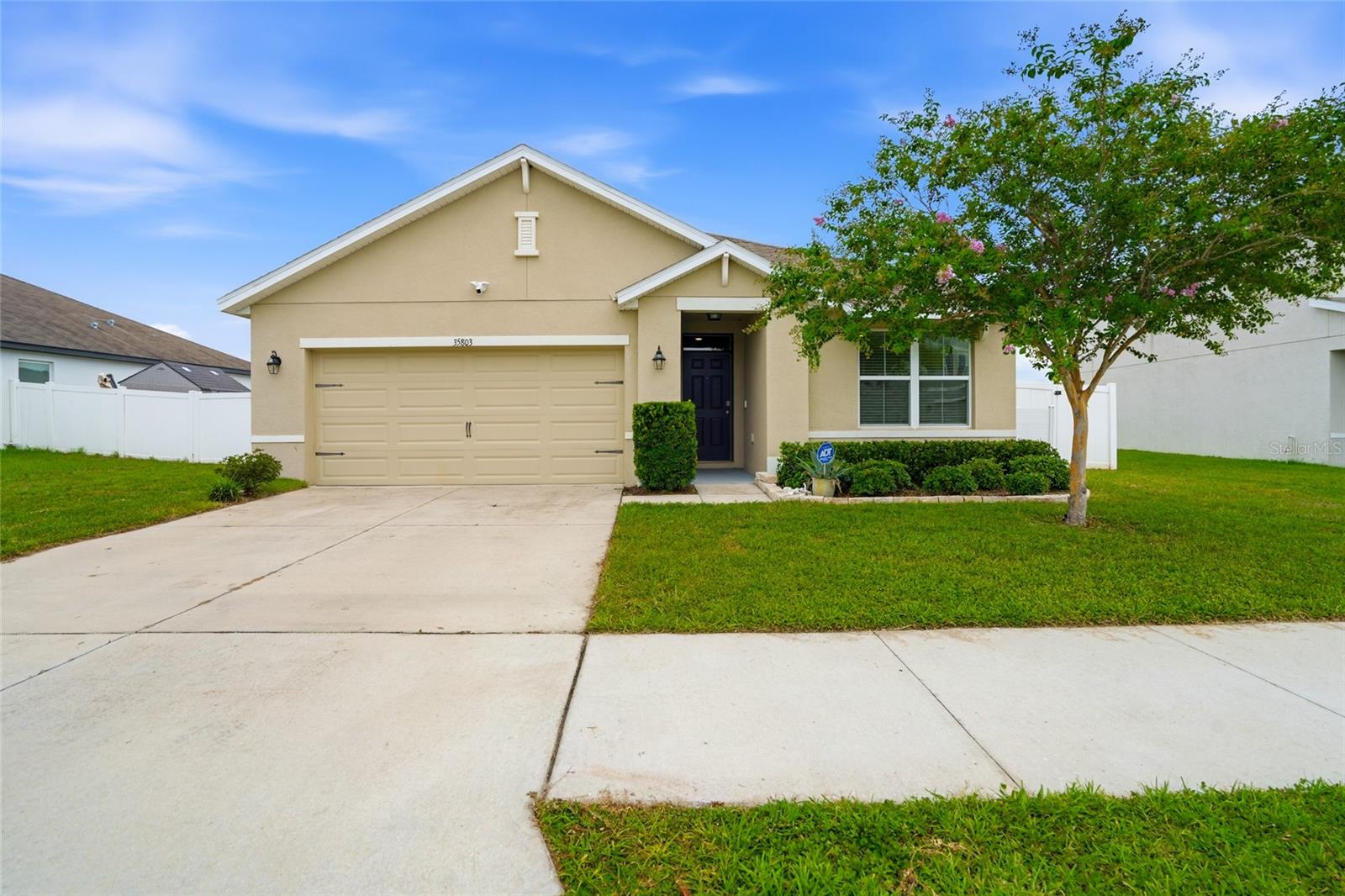 35803 Hillbrook Ave, Zephyrhills
