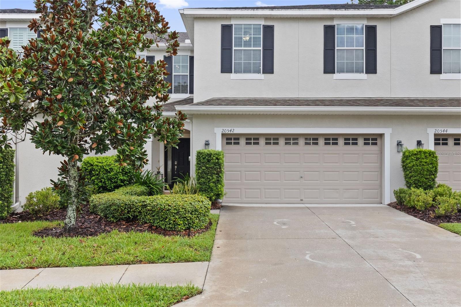 20542 Grand Vista Ln, Tampa