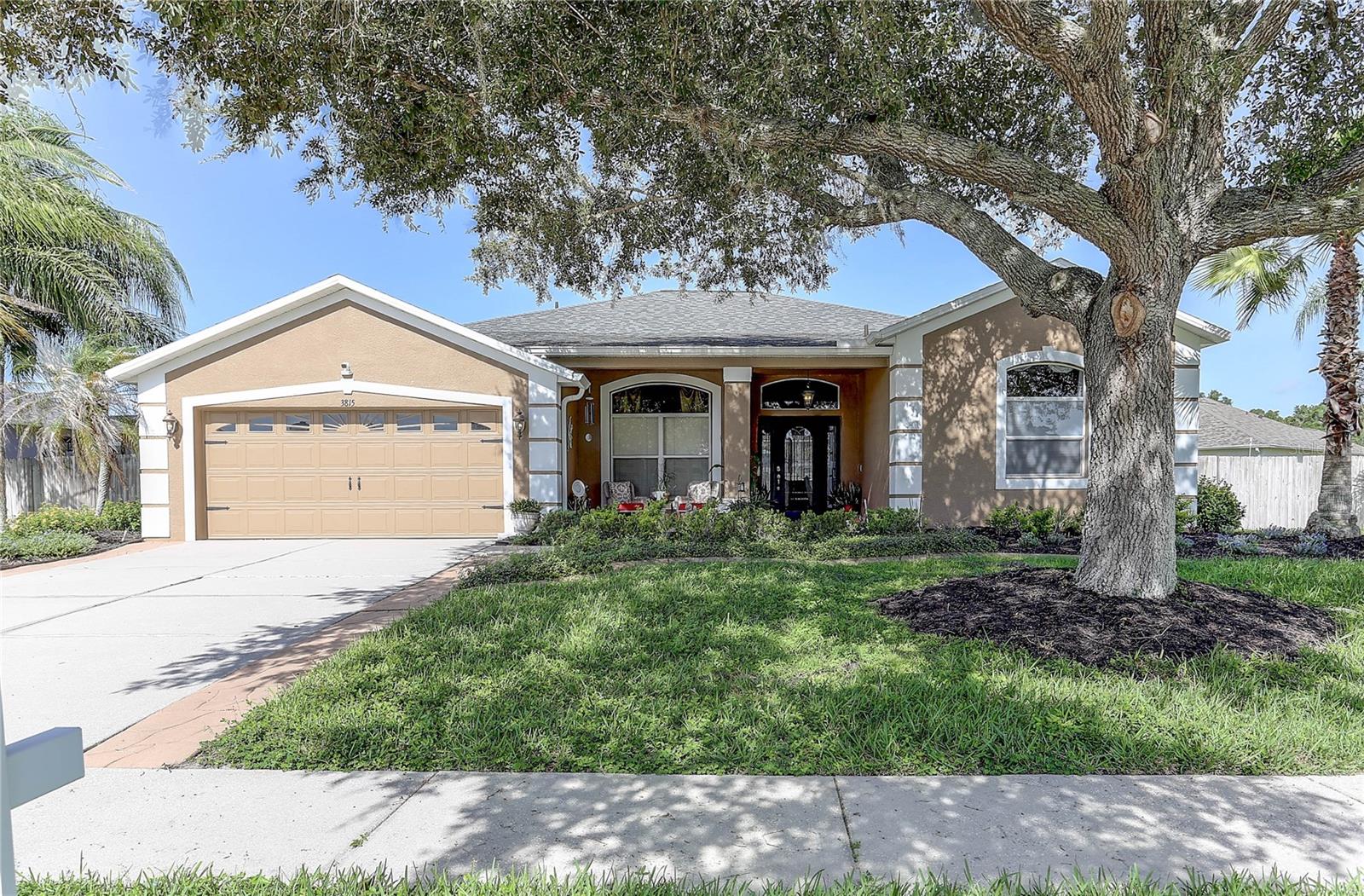 3815 Red Bluff Ct, Land O Lakes