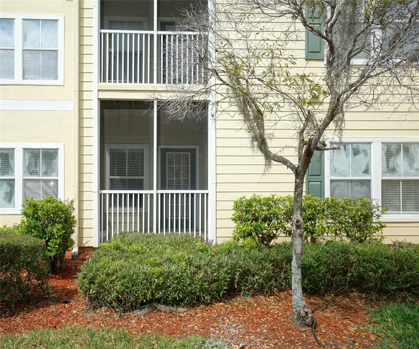 18425 Bridle Club Dr, Tampa