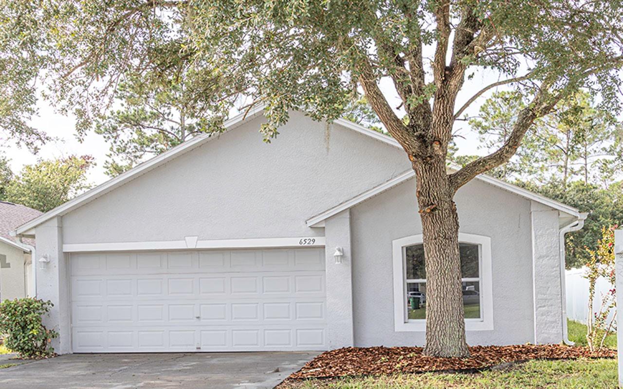 6529 Tabogi Trl, Wesley Chapel