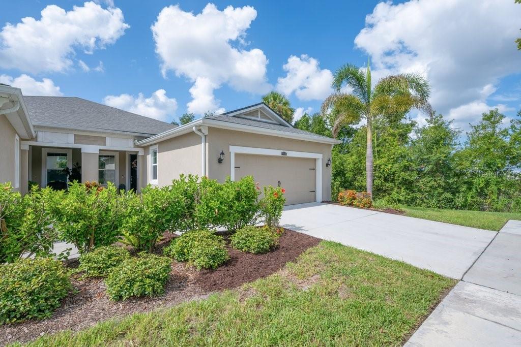 11505 Cambium Crown Dr, Riverview