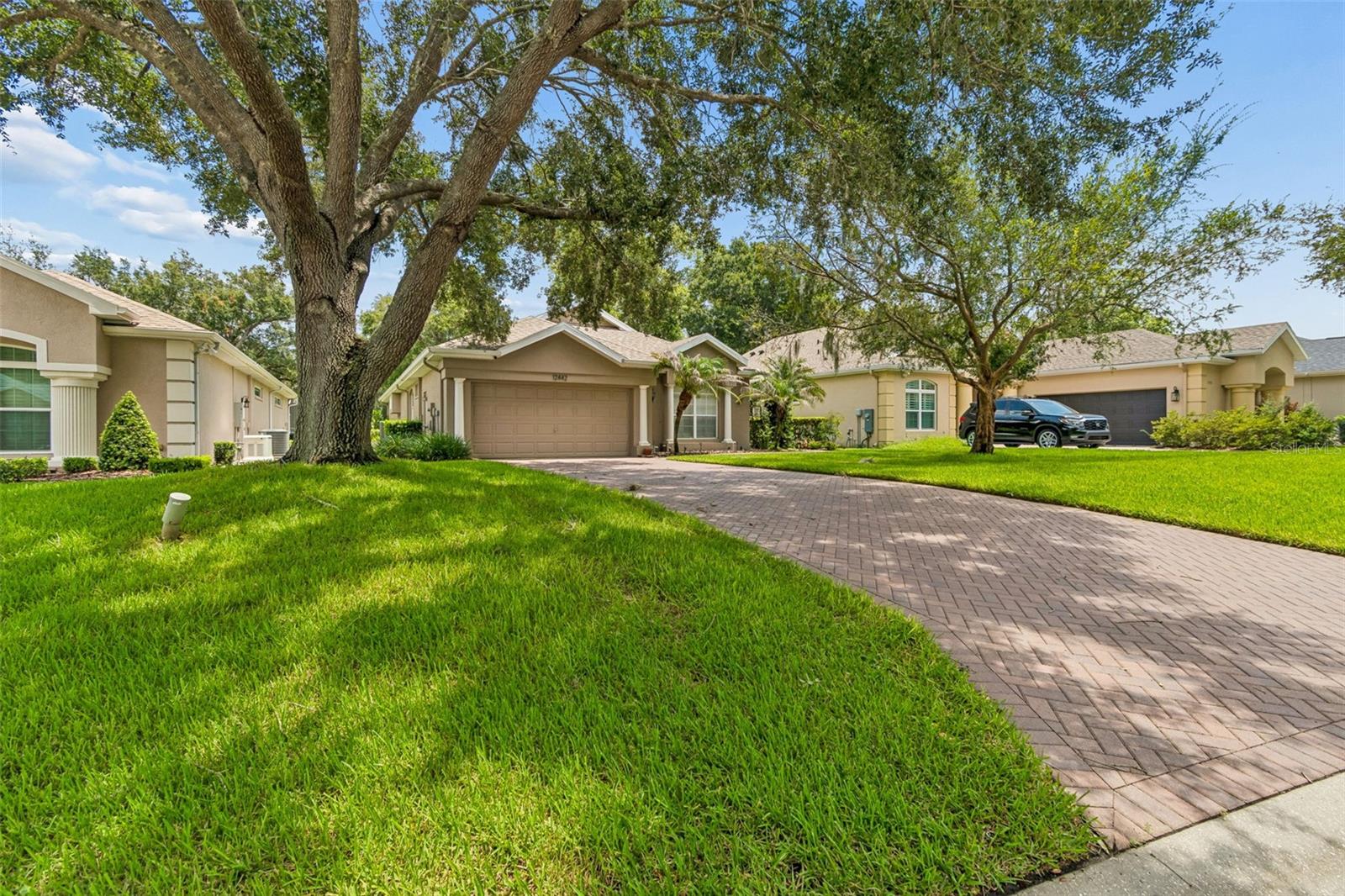 12442 Forest Highlands Dr, Dade City
