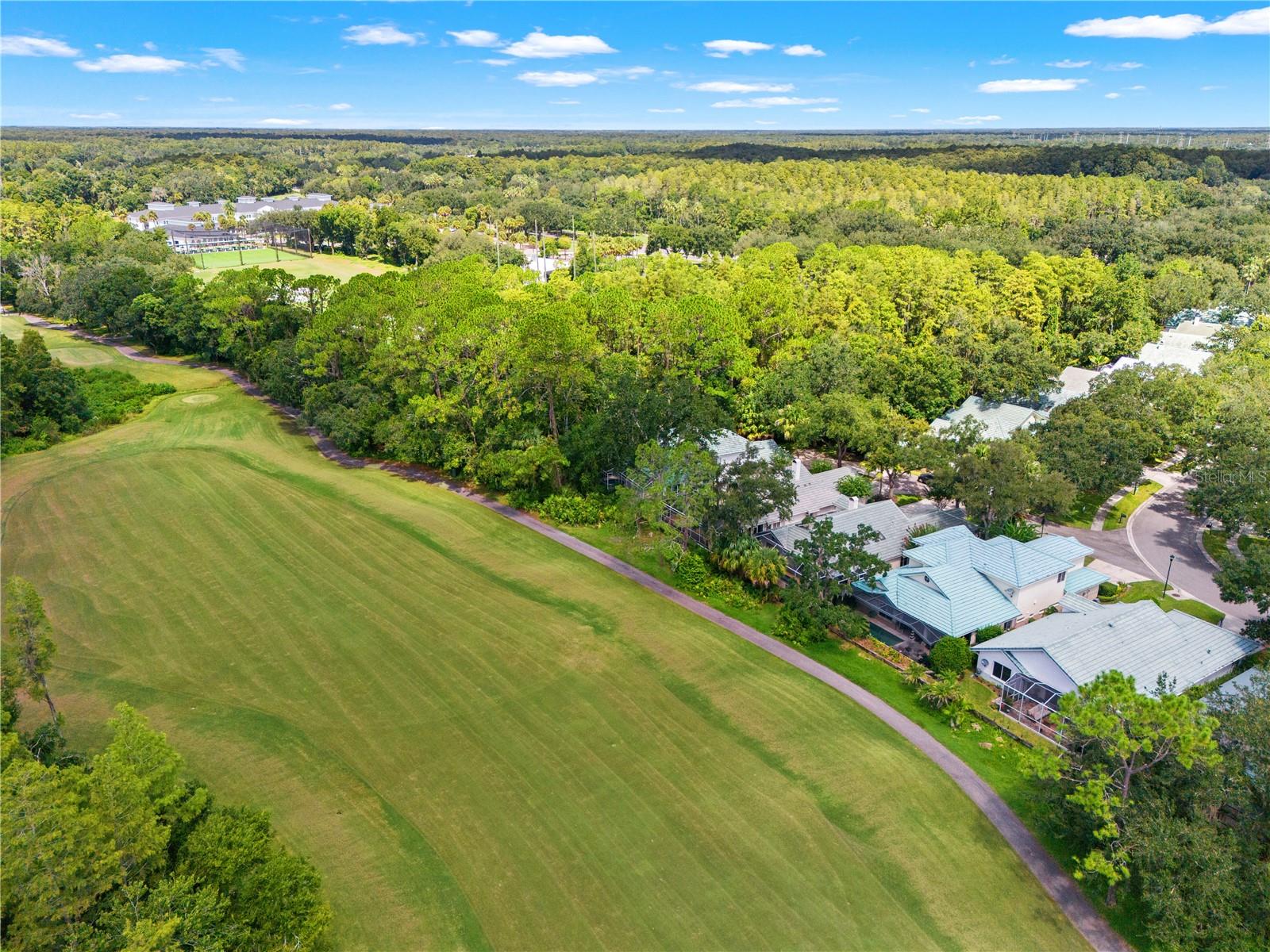 6005 FAIRWAY PALMS CT