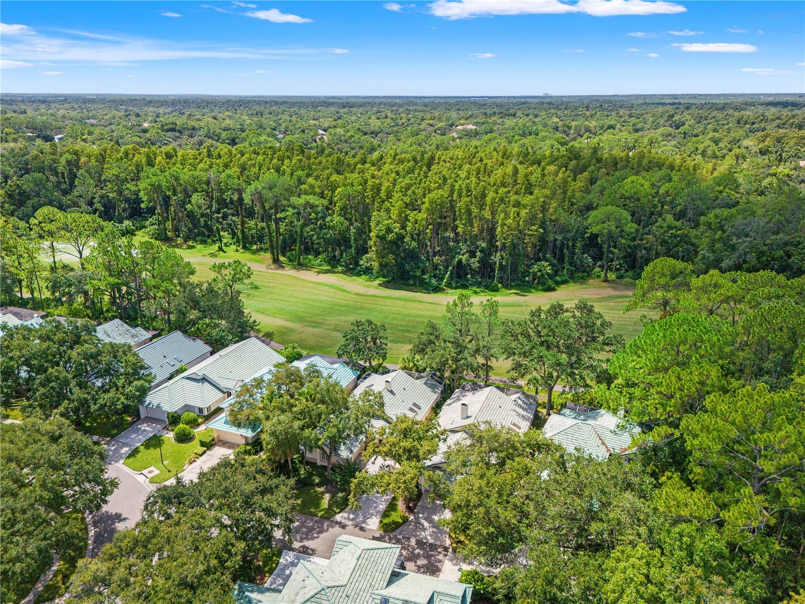 6005 FAIRWAY PALMS CT