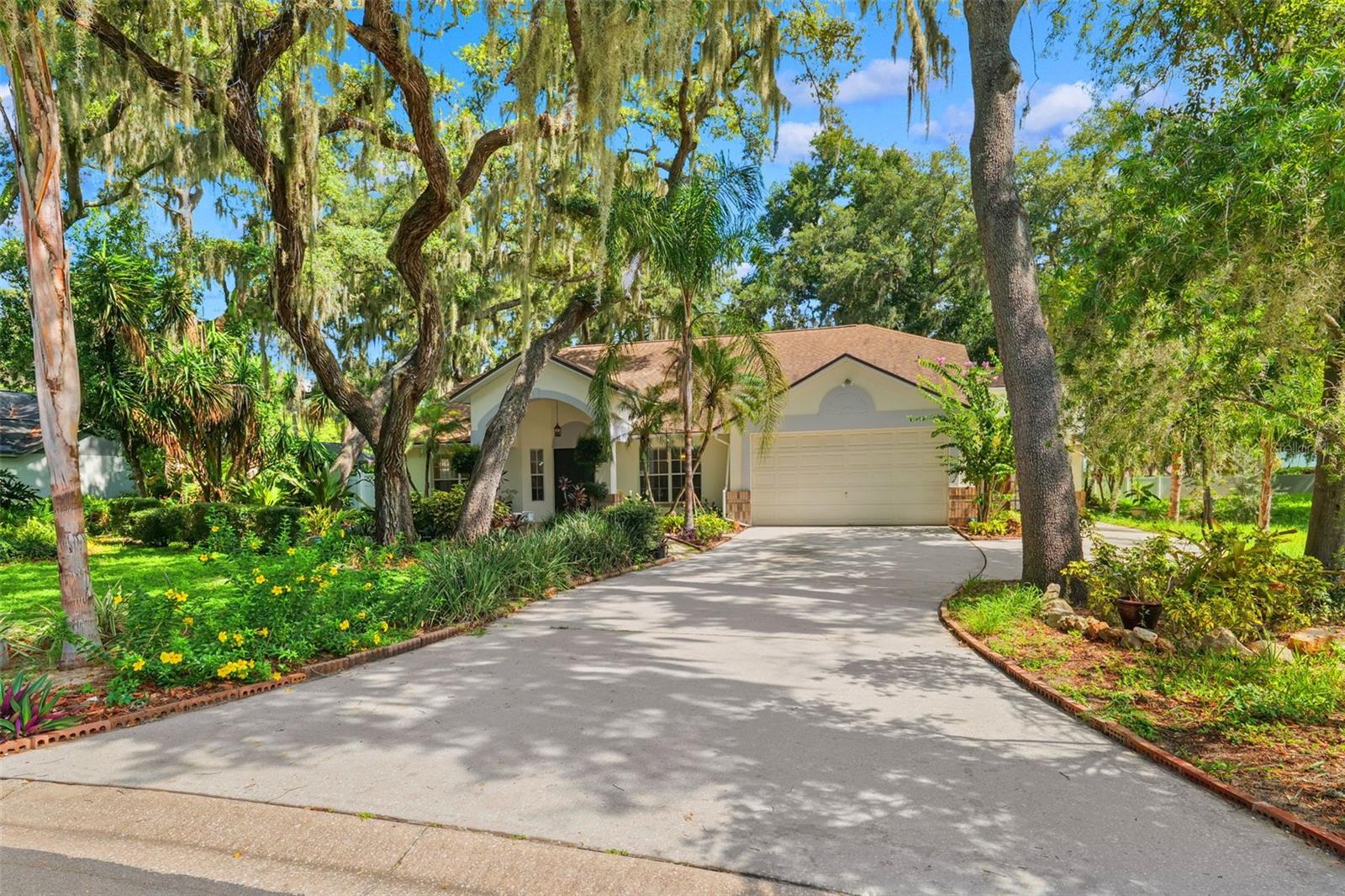 2770 Buckhorn Oaks Dr, Valrico