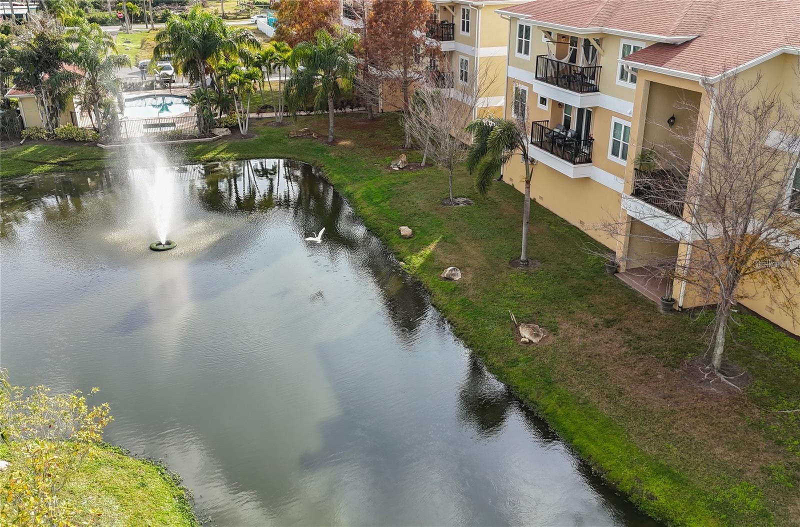 6420 BANYAN BLVD #203