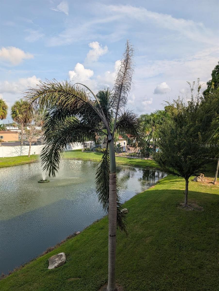 6420 BANYAN BLVD #203