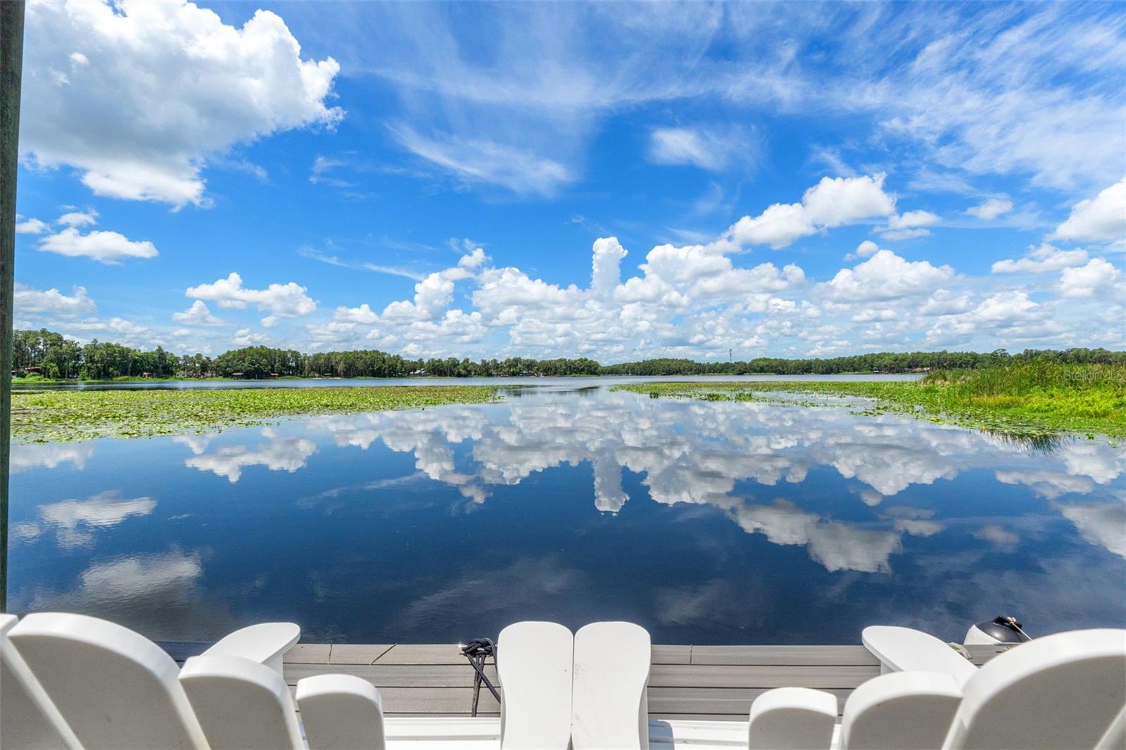 5035 Conner Dr, Land O Lakes