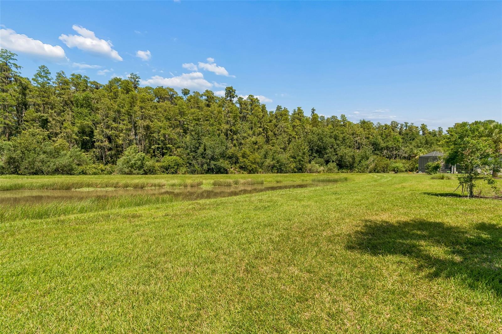 4333 CAIROLI CT