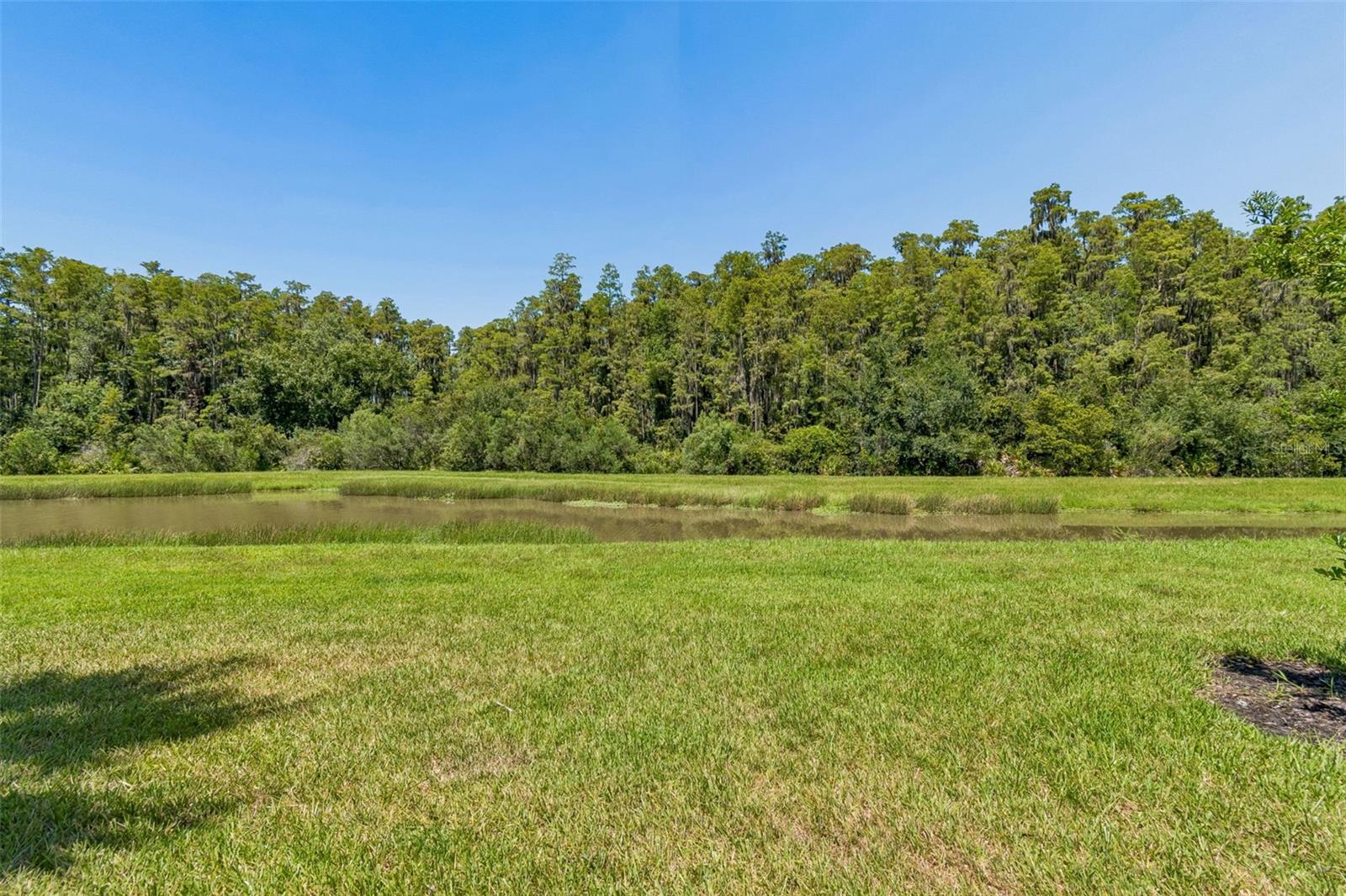 4333 CAIROLI CT