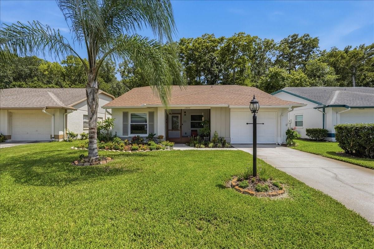 11602 White Ash Dr, New Port Richey