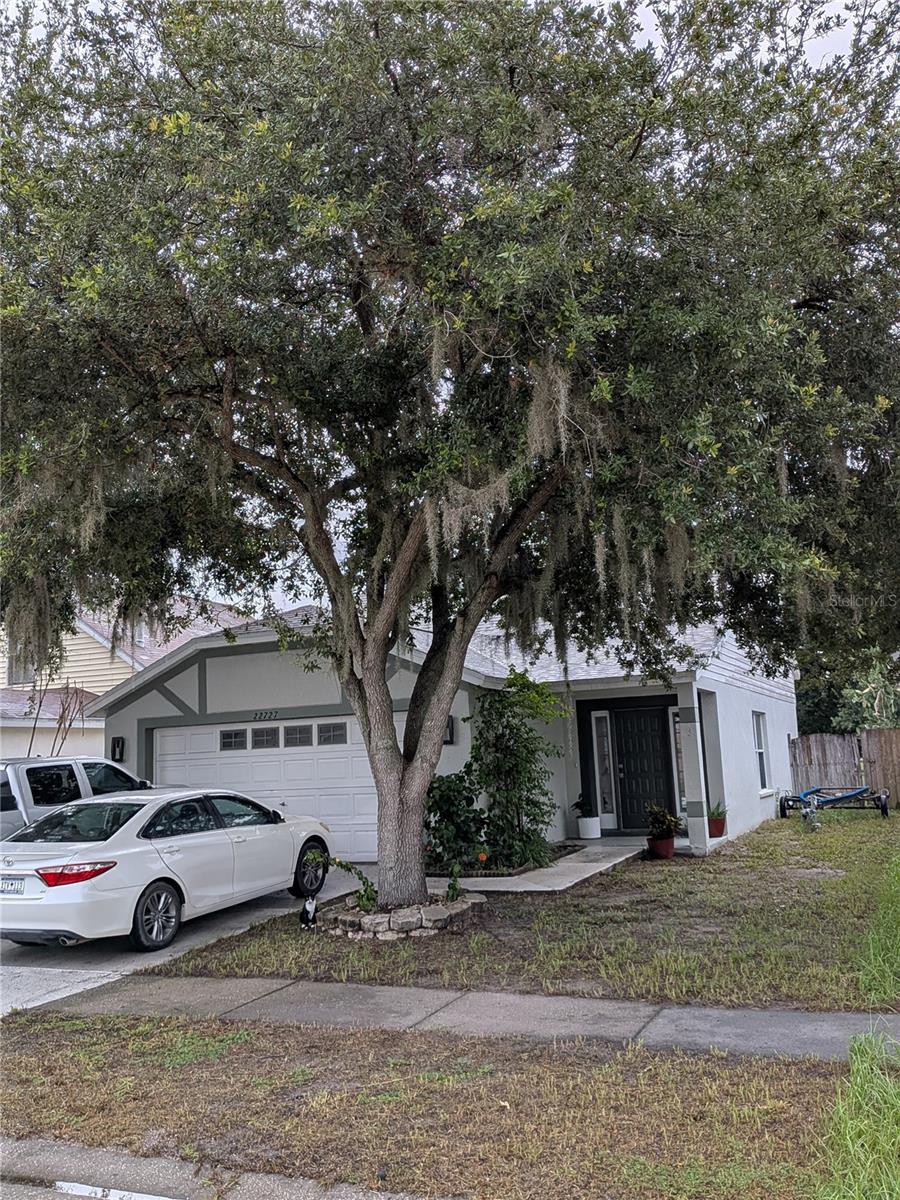 22727 Saint Thomas Cir, Lutz