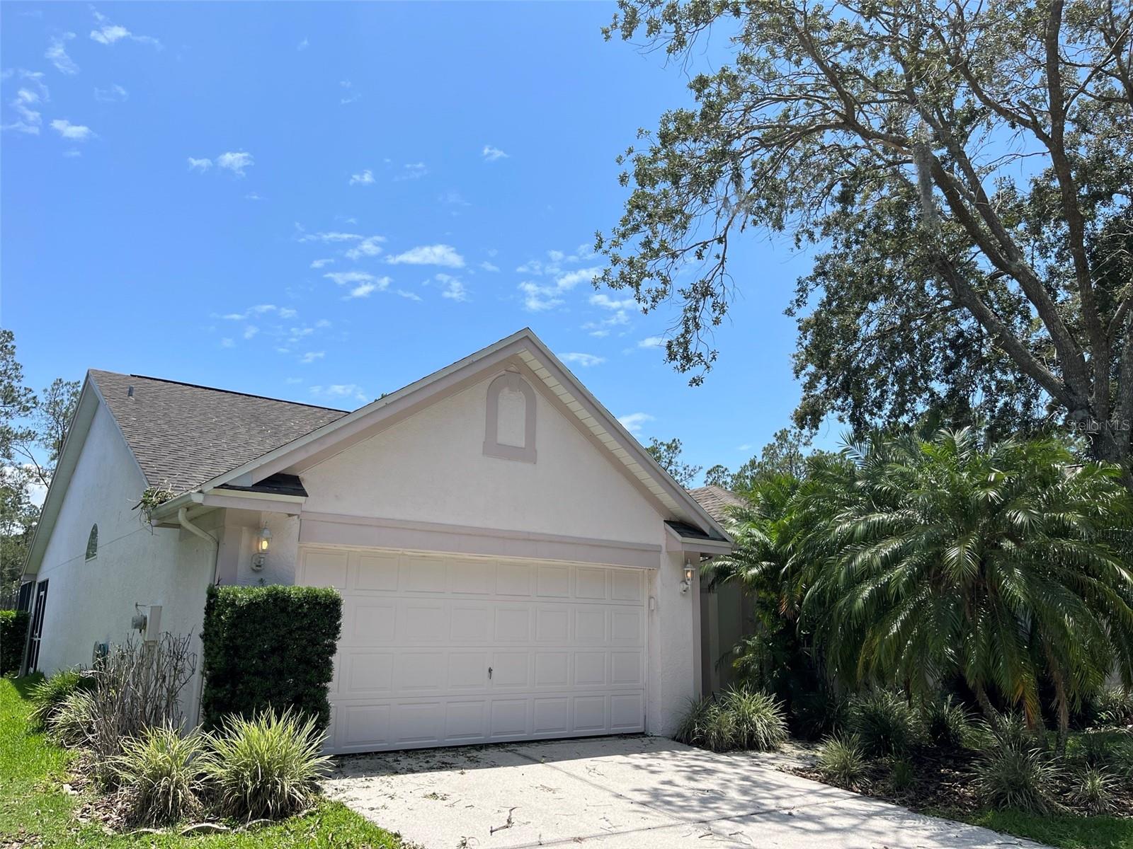 9411 Willow Cove Ct, Tampa