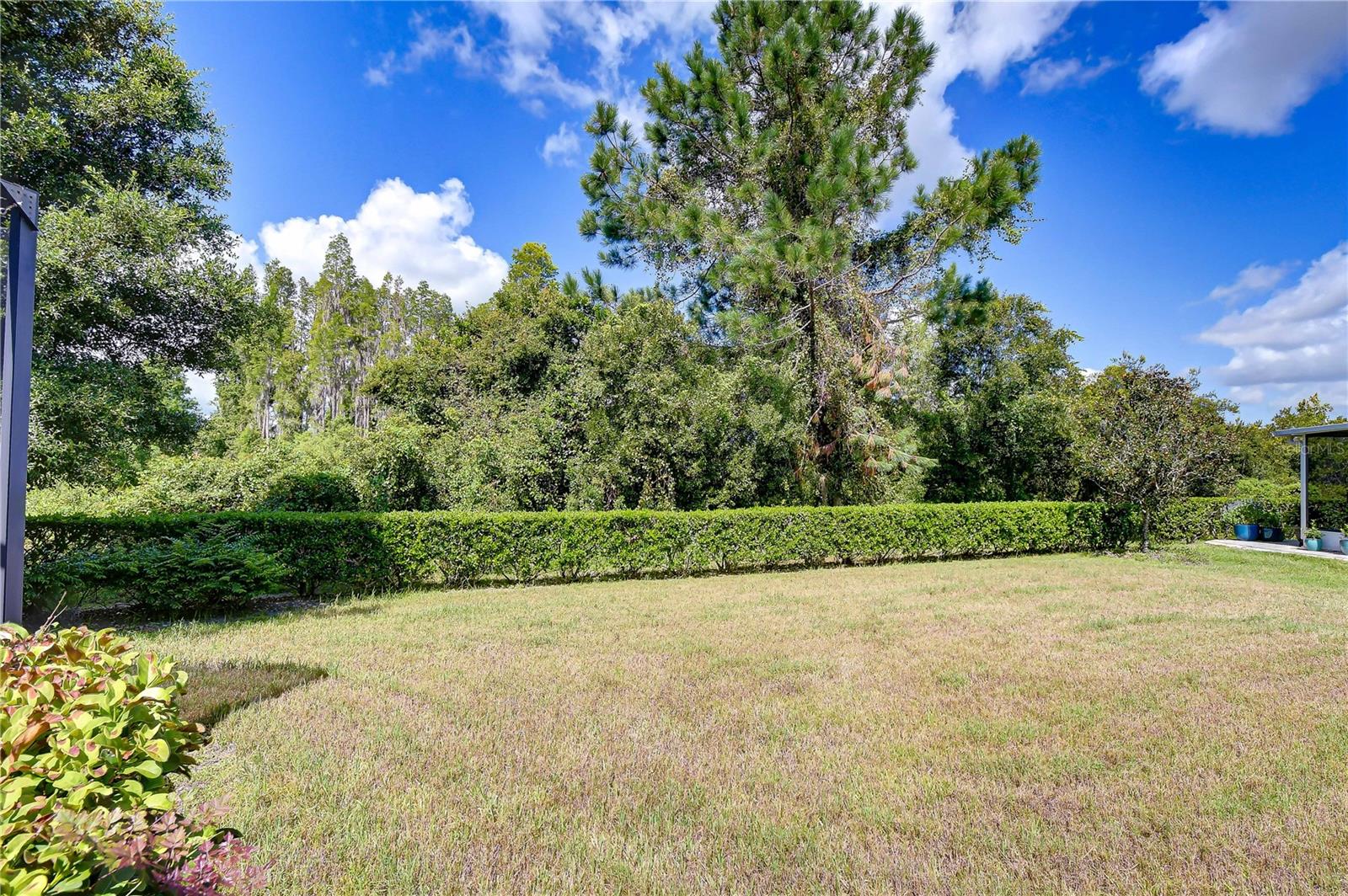 1127 WRIGHTSWYNDE CT
