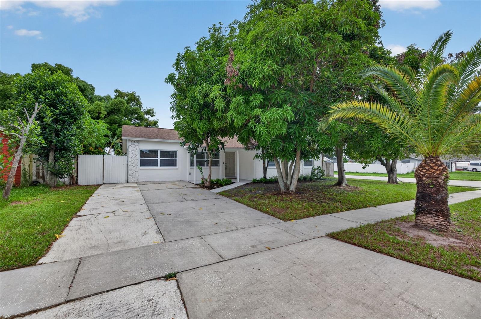 9001 Arndale Cir, Tampa