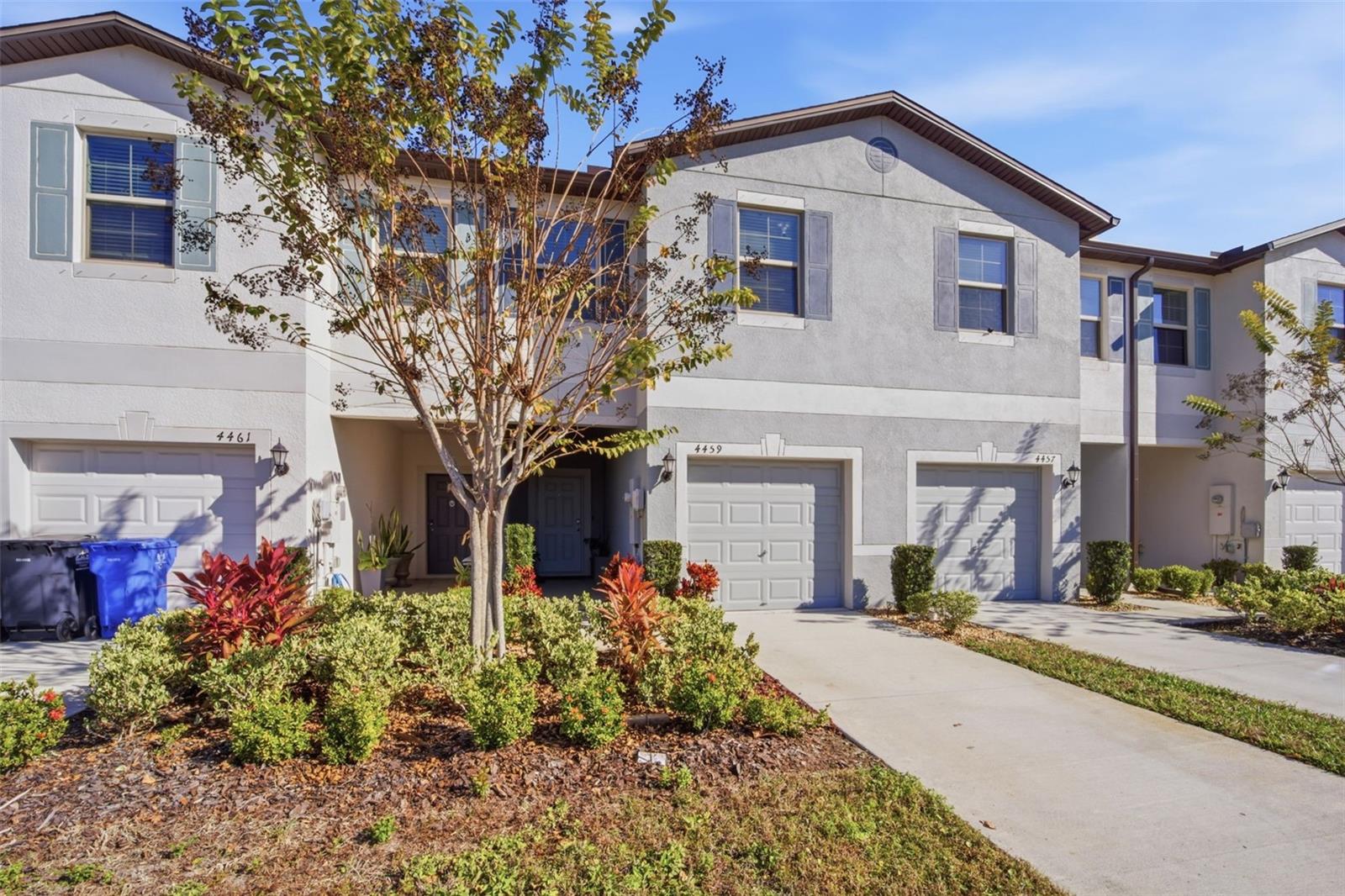 4459 Globe Thistle Dr, Tampa