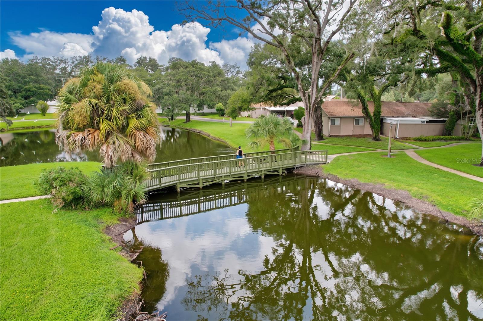 7907 Sabal Dr, Temple Terrace