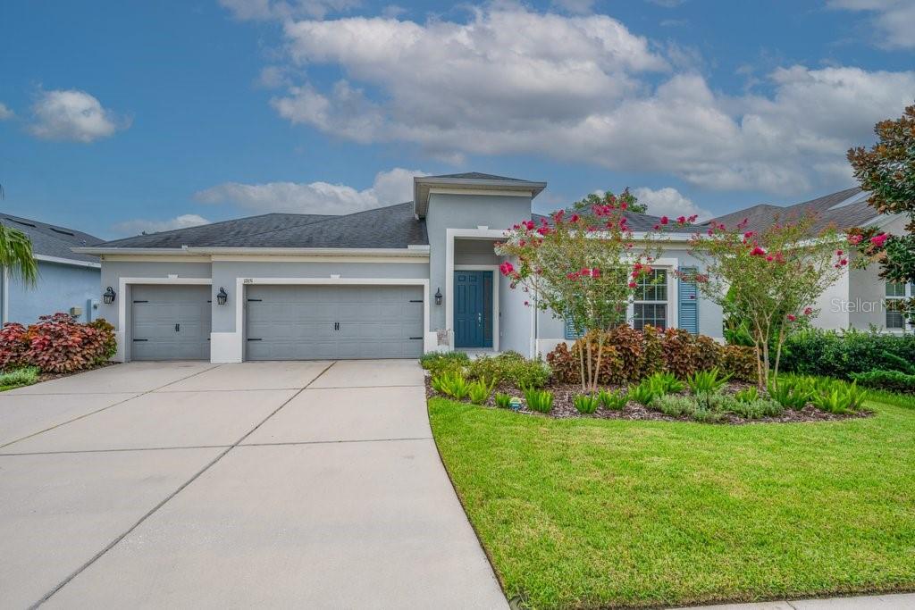 17651 Bright Wheat Dr, Lithia