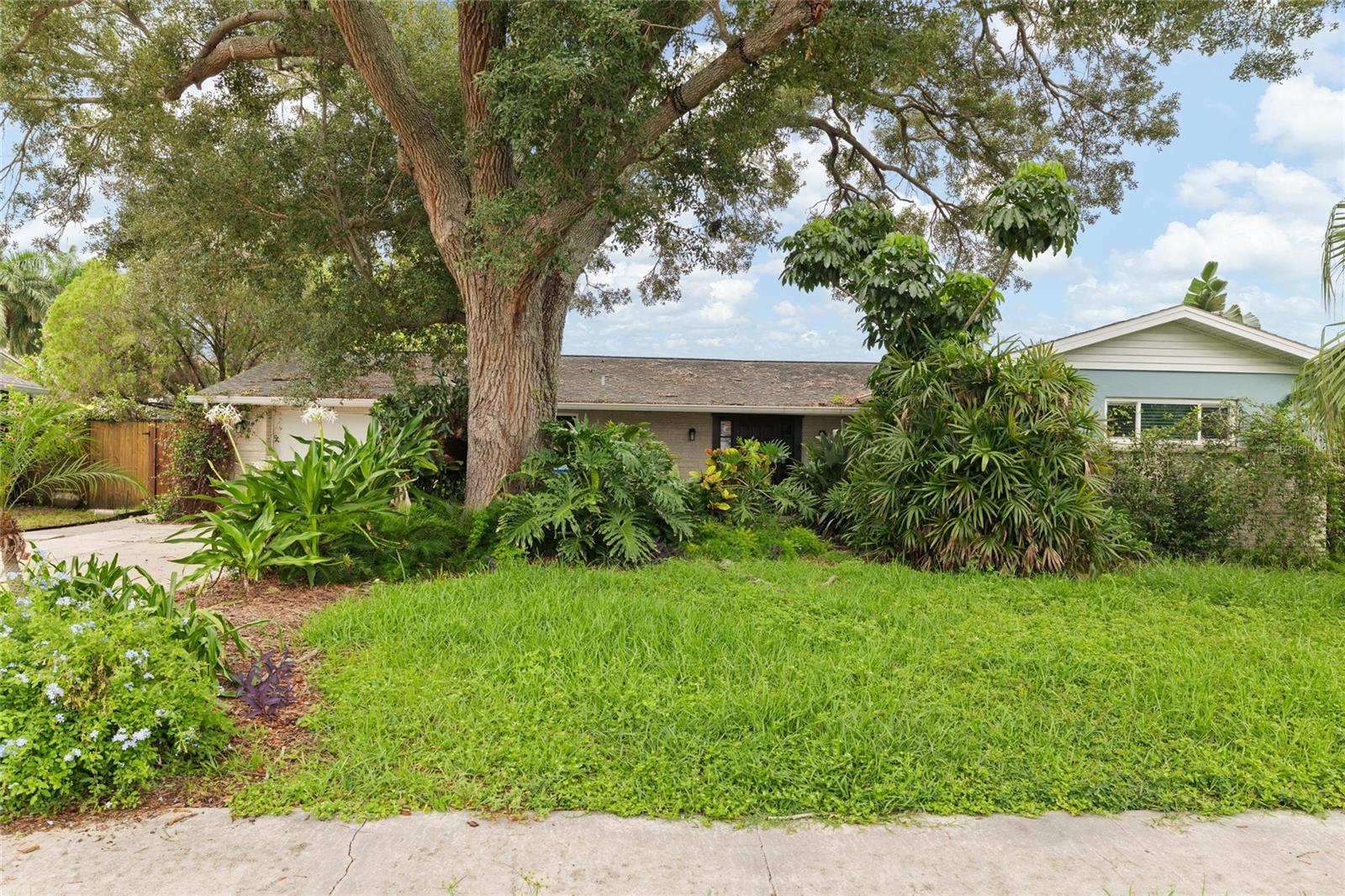 8404 Flagstone Dr, Tampa