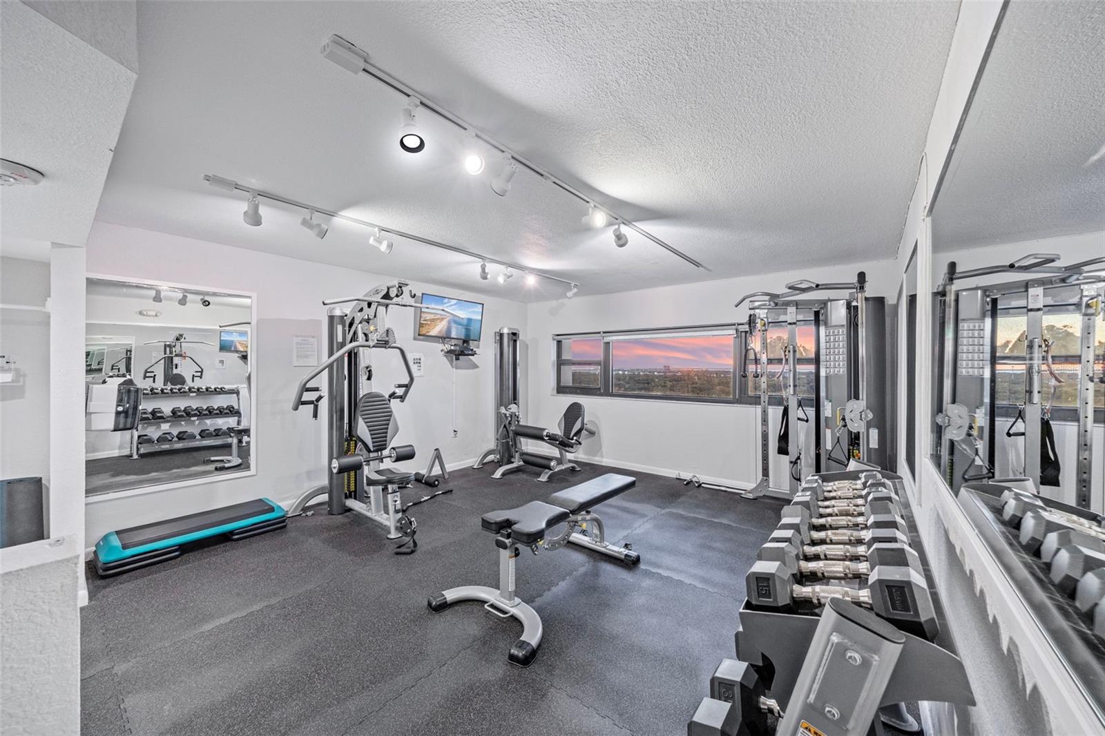 4141 BAYSHORE BLVD #604