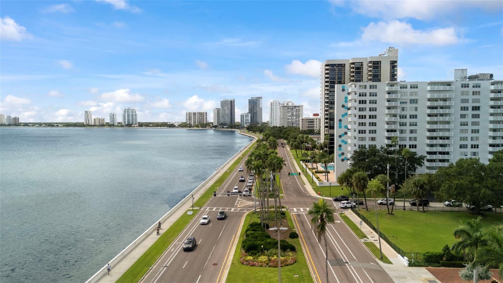 4141 BAYSHORE BLVD #604