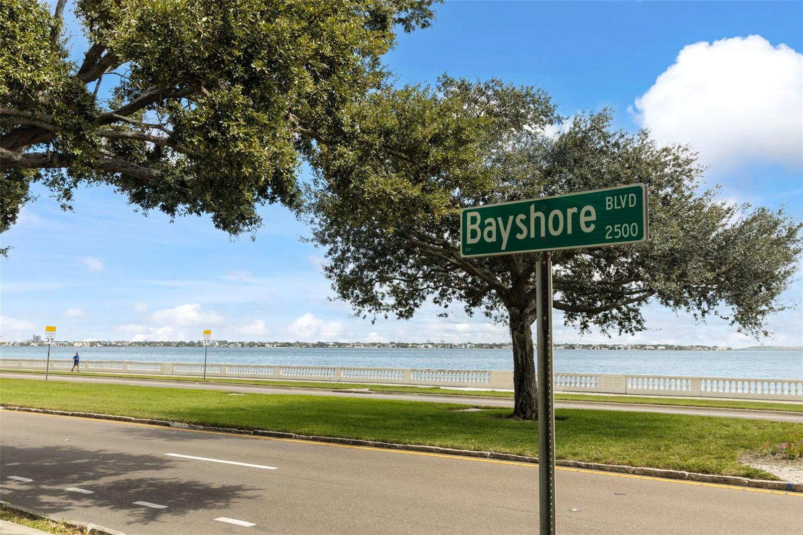 4141 BAYSHORE BLVD #604