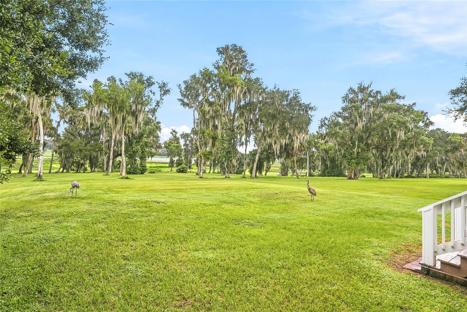 18350 HANCOCK BLUFF RD