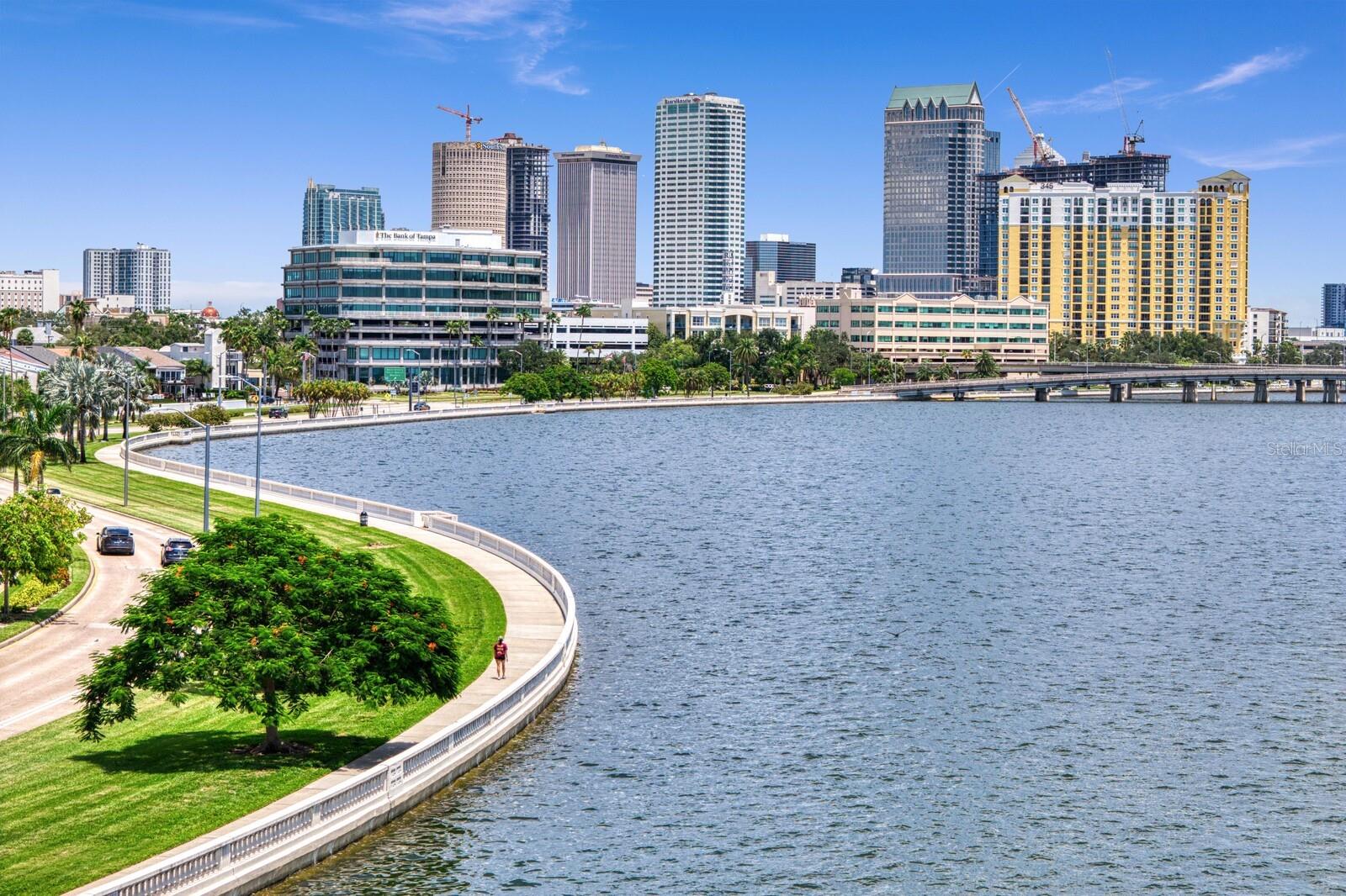 907 BAYSHORE BLVD