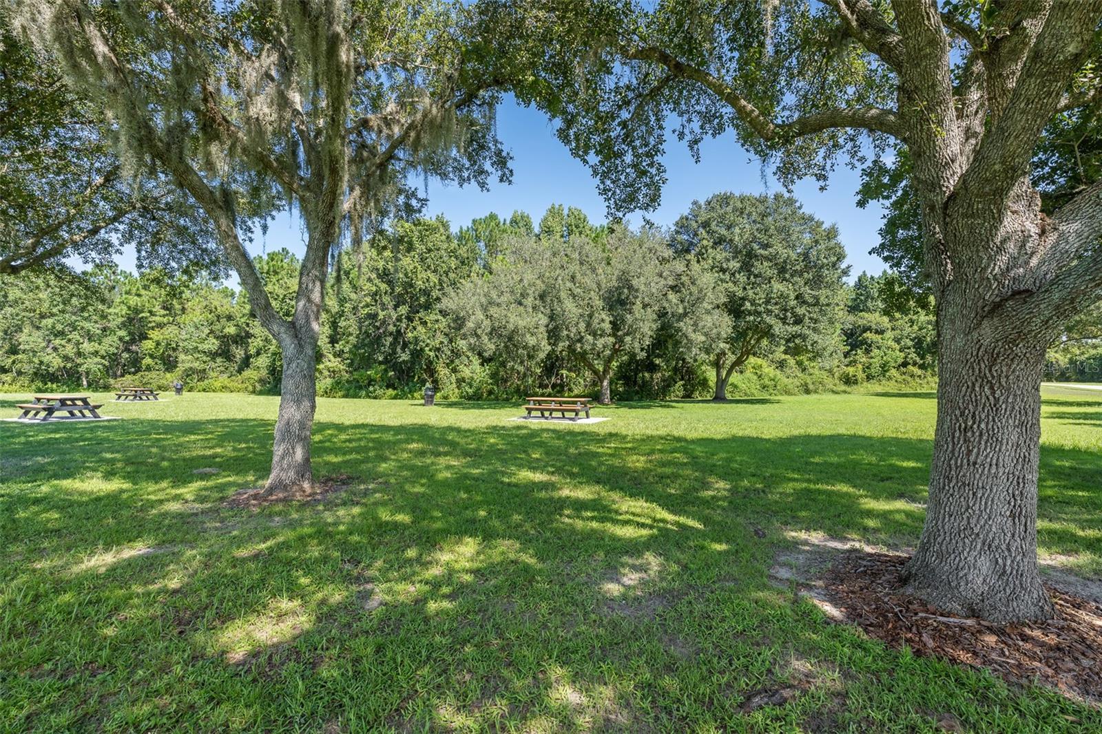 19002 NARIMORE DR