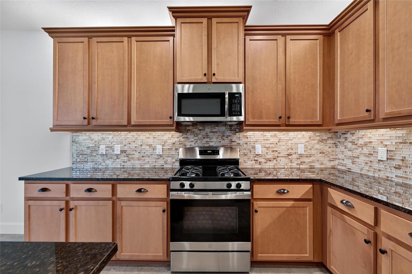 15412 SANTA POLA DR