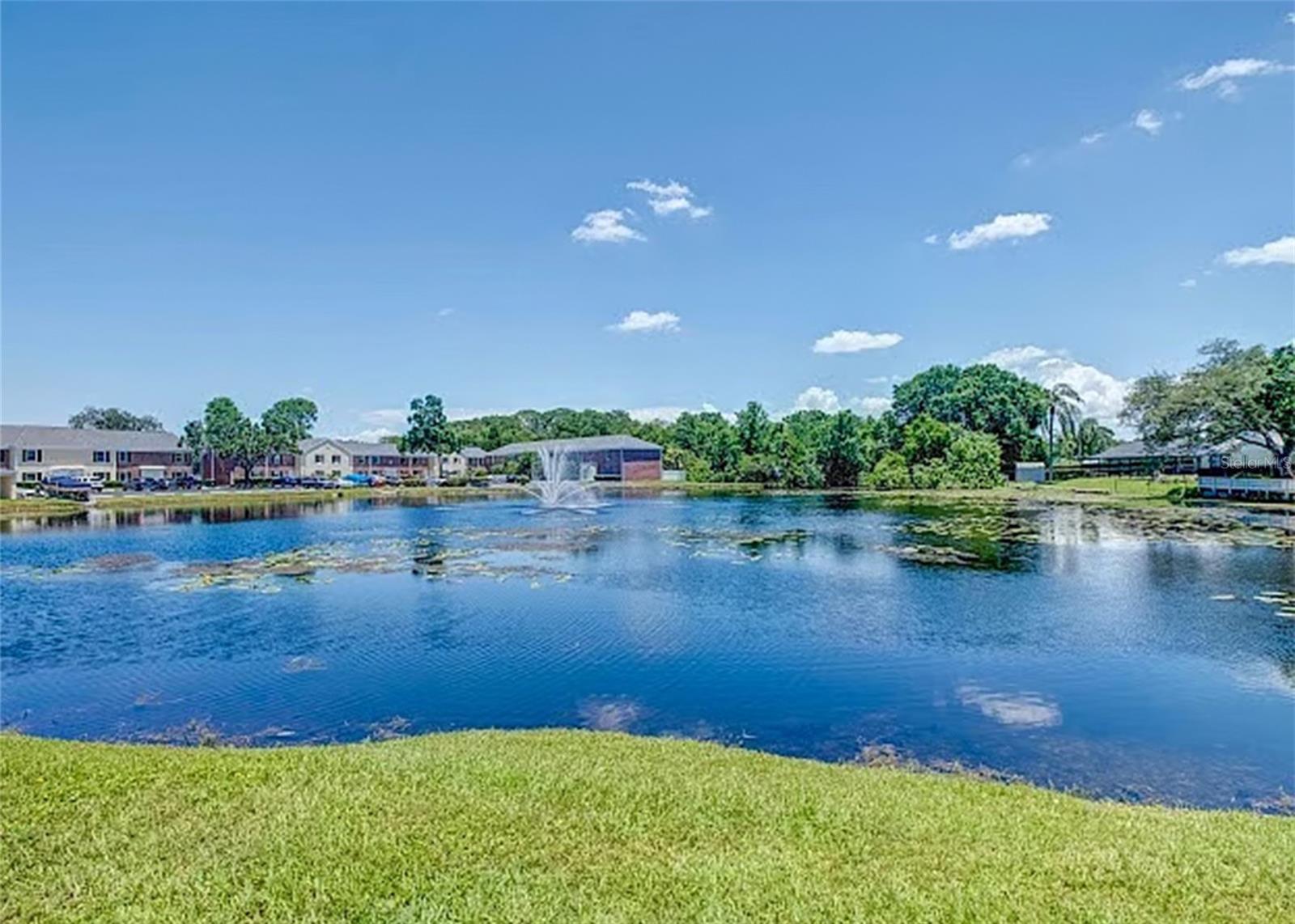 13812 ORANGE SUNSET DR #0