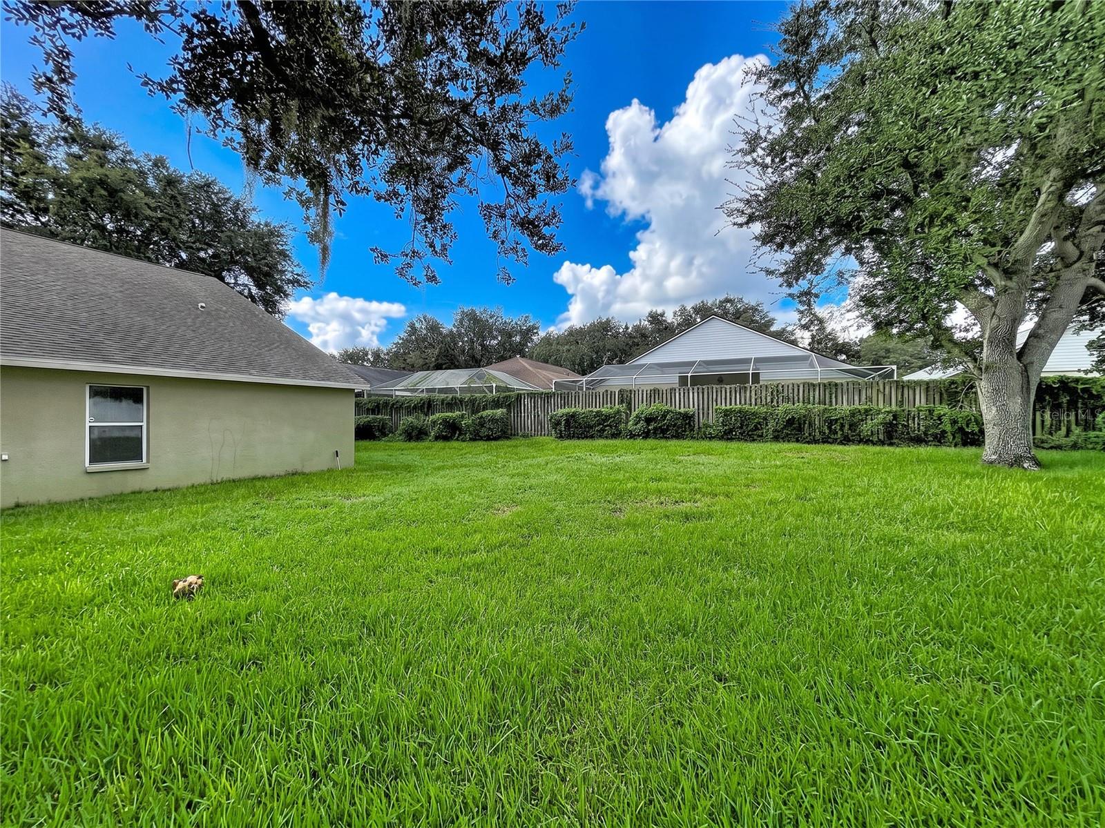 1124 SPLIT SILK ST