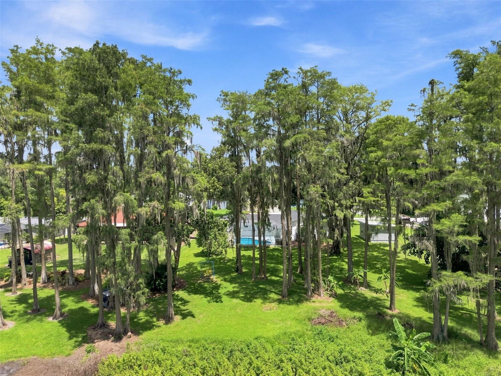 210 LAKE HOBBS RD