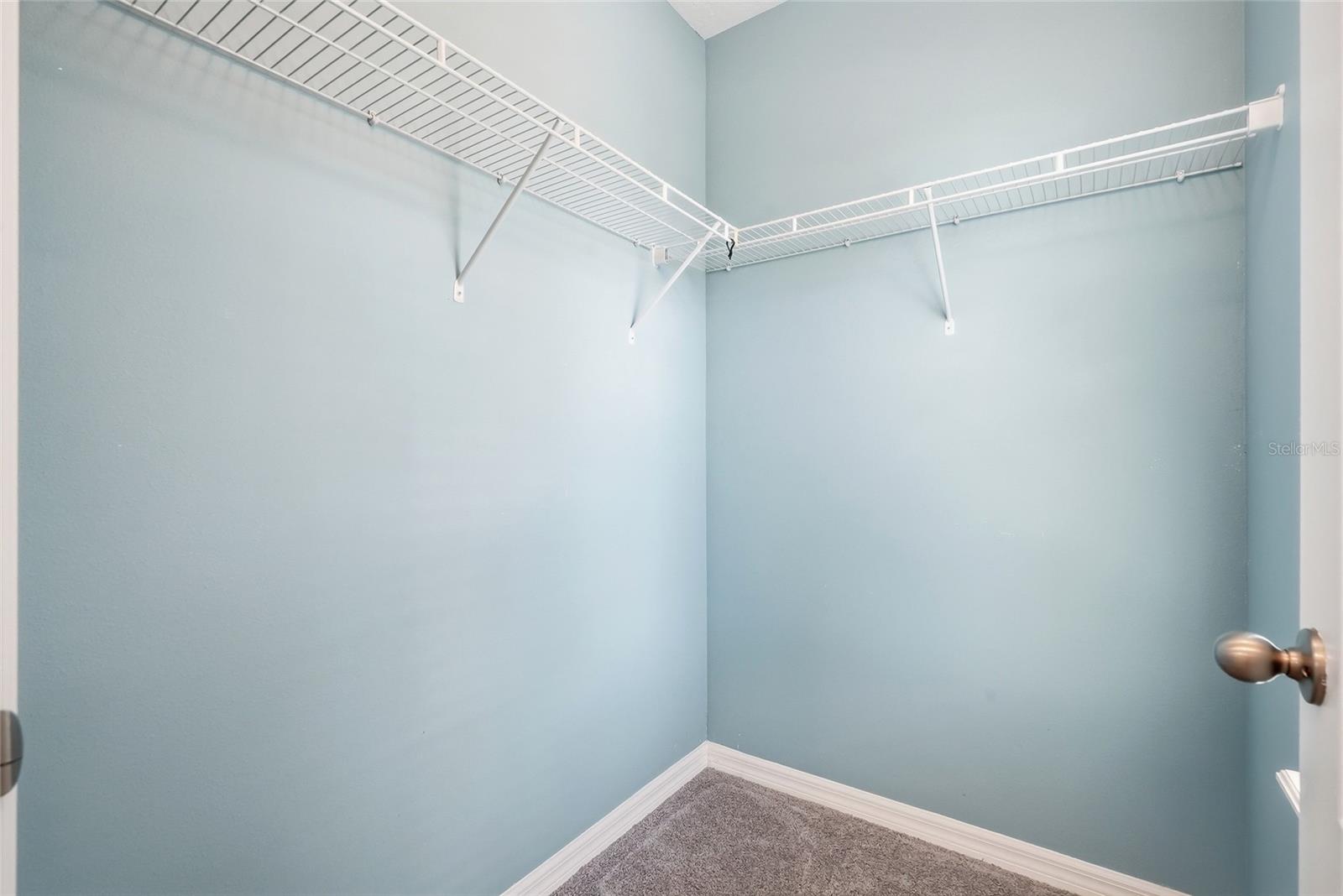 13105 CANOPY CREEK DR
