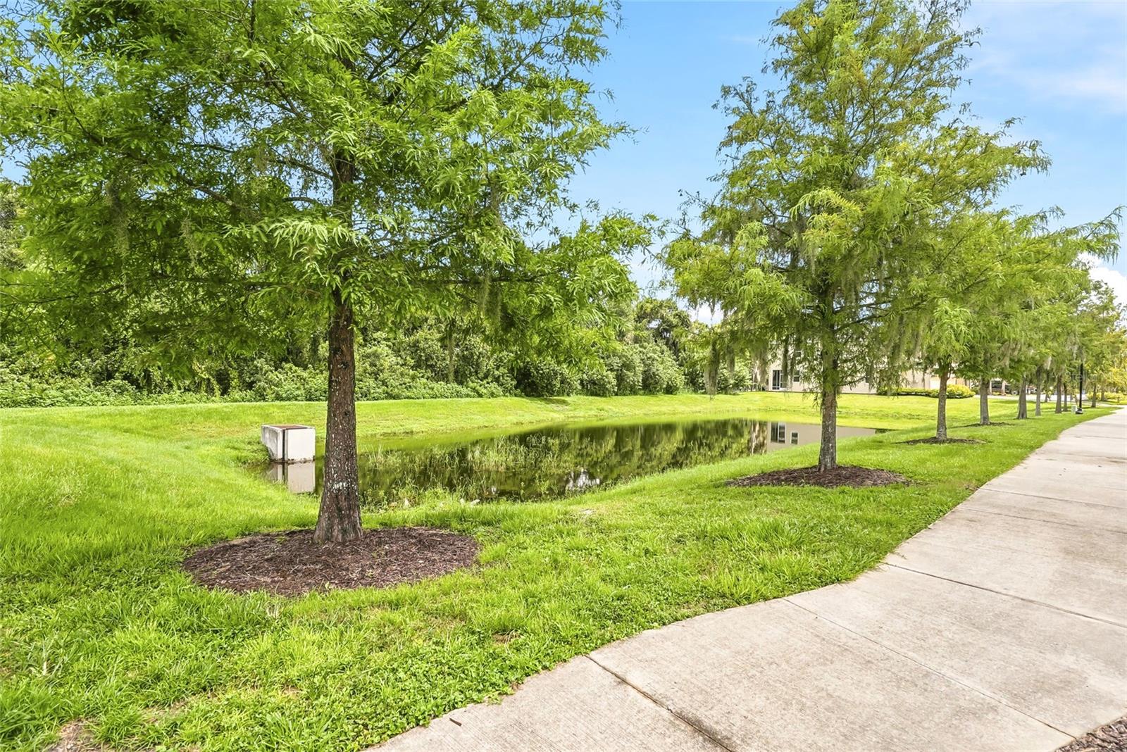 13105 CANOPY CREEK DR